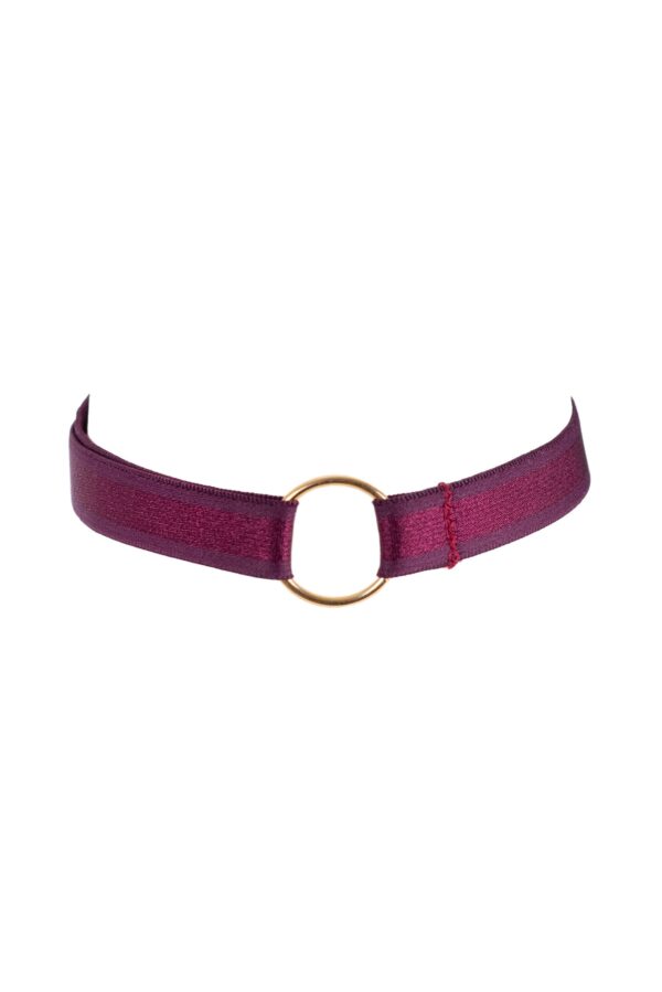 Harness "Aster"