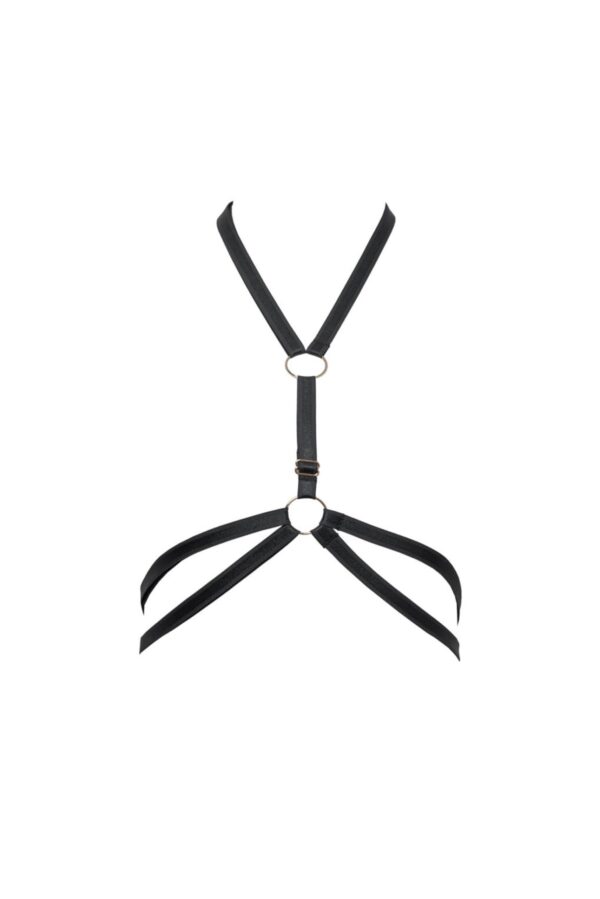 Rake "Aria" - Image 4