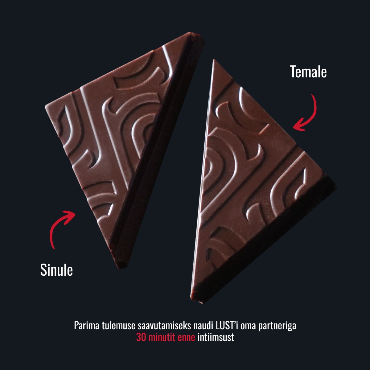 Озорной темный шоколад SAINT LUST — изображение 4
